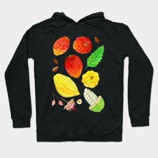 Cacao Hoodie